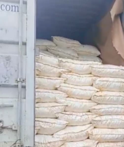 تجارت گشنیز در ایران با آناهیتا اکسپورت coriander Trade